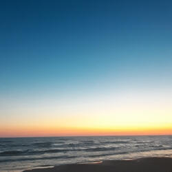 Alone