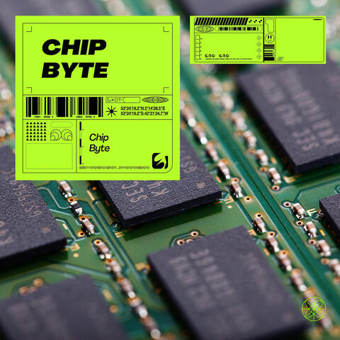 Chip Byte