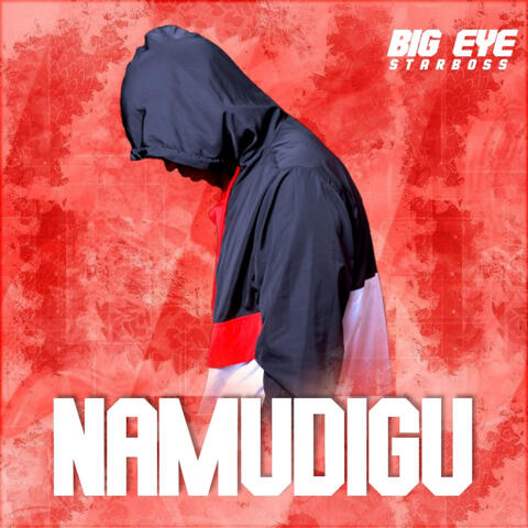 Namudigu