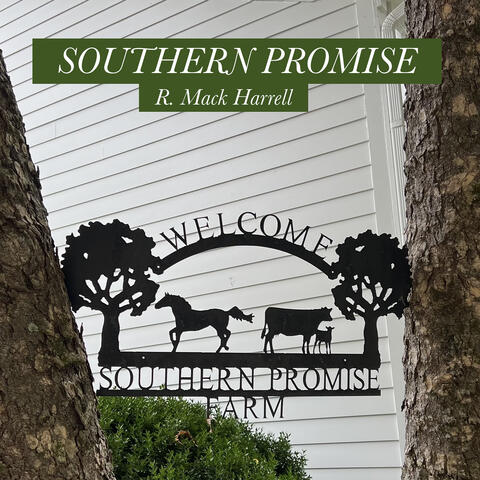 Southern Promise