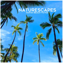 North Shore Beach Ambience