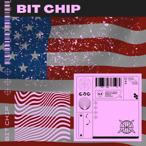 Bit Chip