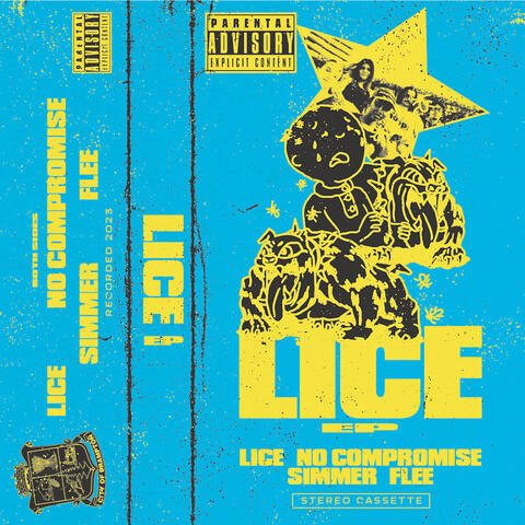 Lice