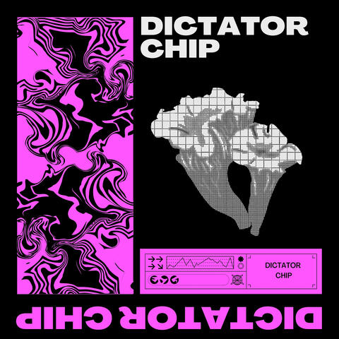 Dictator Chip