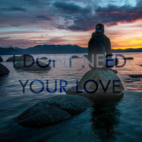 I Dont Need Your Love
