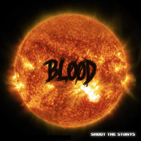 Shoot the Strays