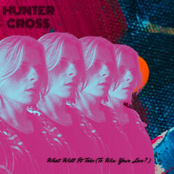 What Will It Take (To Win Your Love?)