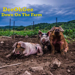 Down on the Farm