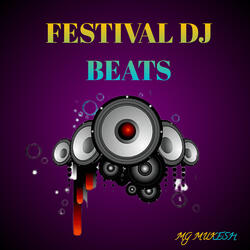 Festival DJ Beats