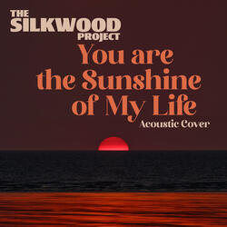 You Are the Sunshine of My Life (Acoustic Cover)