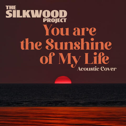 You Are the Sunshine of My Life (Acoustic Cover)