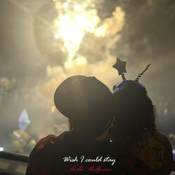 Wish I Could Stay