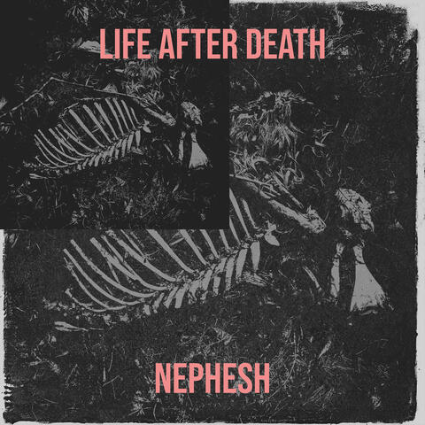 Life After Death