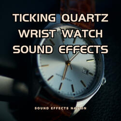 Ticking Quartz Wrist Watch Sound Effects