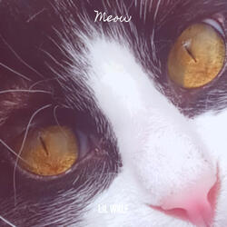 Meow