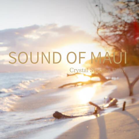 Sound of Maui - Crystal Singing Bowl