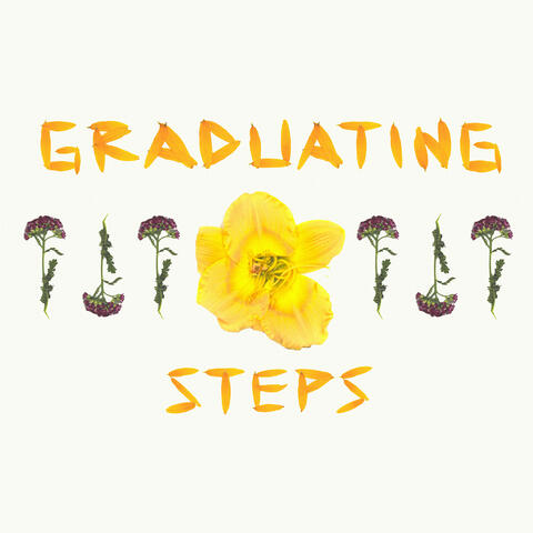 Graduating Steps