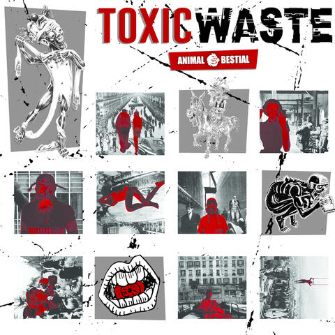 Toxic Waste