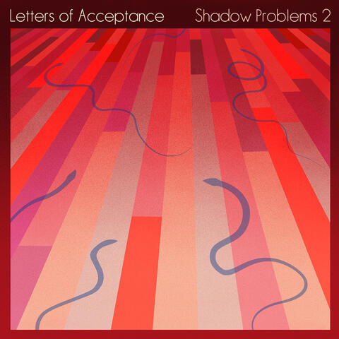 Shadow Problems 2