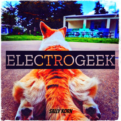 ElectroGeek