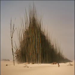 Life Is a Bamboo