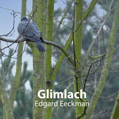 Glimlach