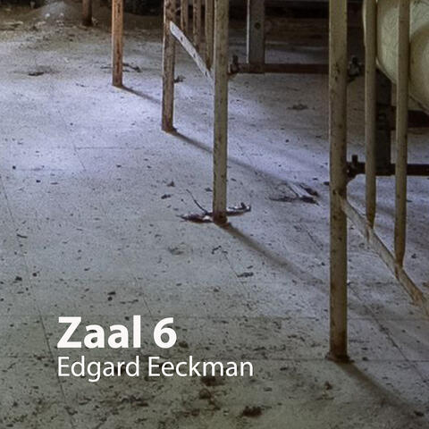 Zaal 6