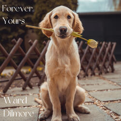 Forever Yours