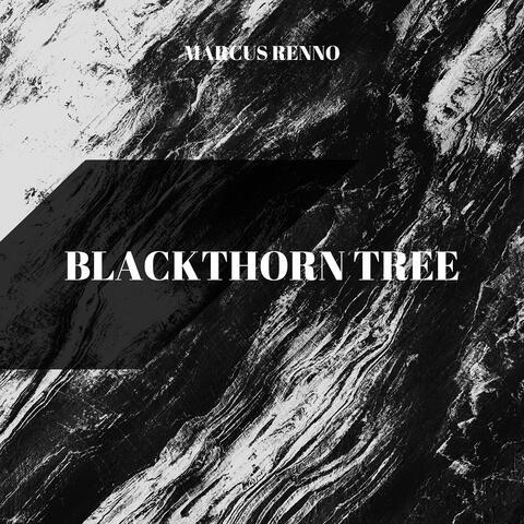 Blackthorn Tree