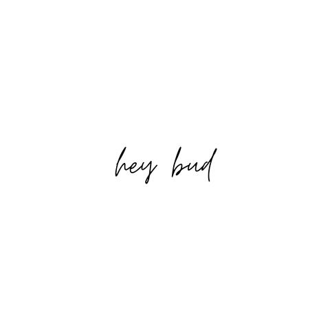 Hey Bud