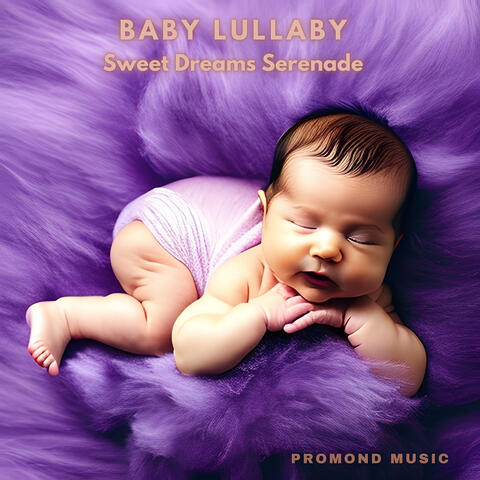 Baby Lullaby (Sweet Dreams Serenade)