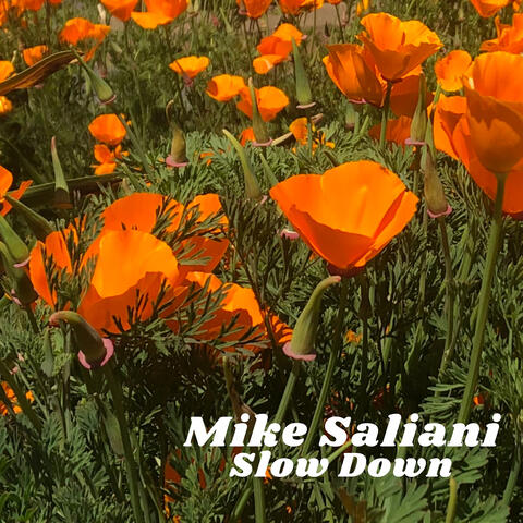 Slow Down