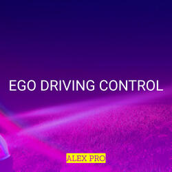 Ego Driving Control