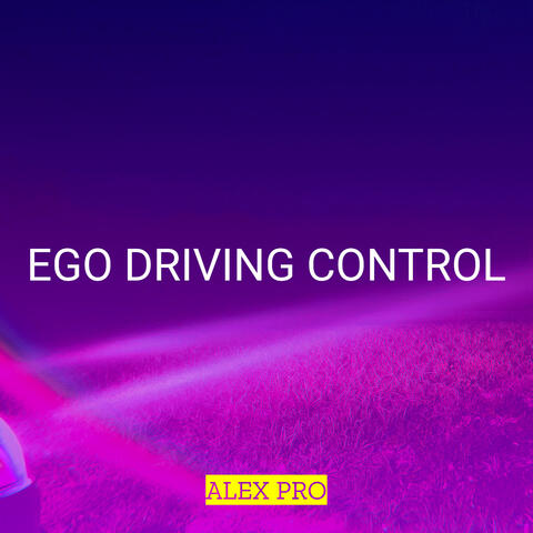Ego Driving Control
