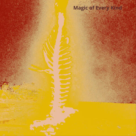 Magic of Every Kind