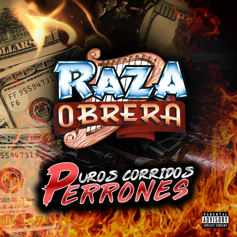 Puros Corridos Perrones