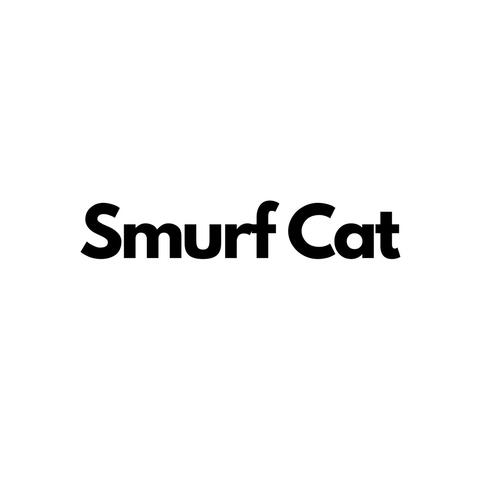 Smurf Cat