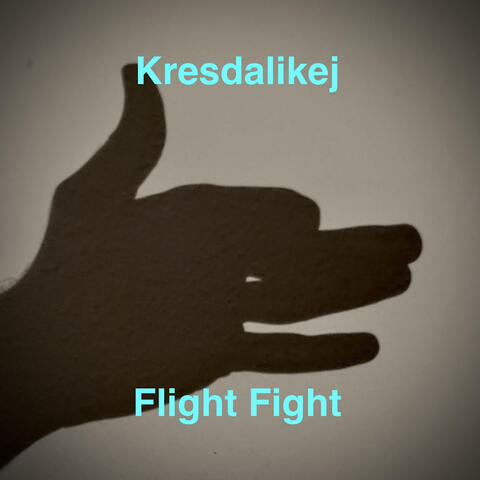 Flight Fight