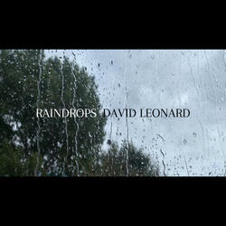 Raindrops