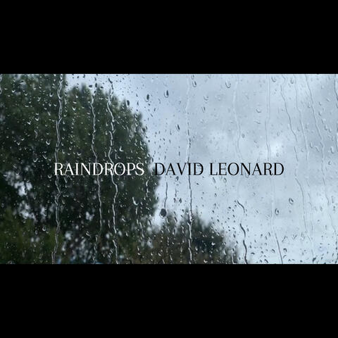 Raindrops