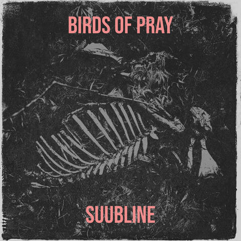 Birds of Pray