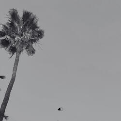 Nachtluft (Slowed + Reverb)
