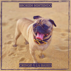 Broken Nintendo