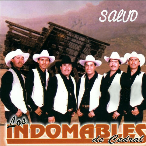 Salud