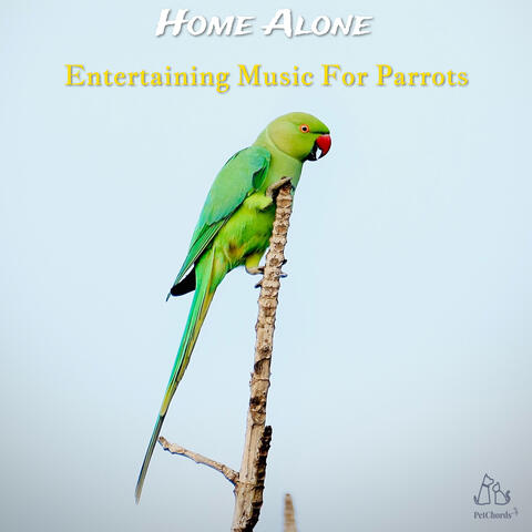 Home Alone - Entertaining Music for Parrots