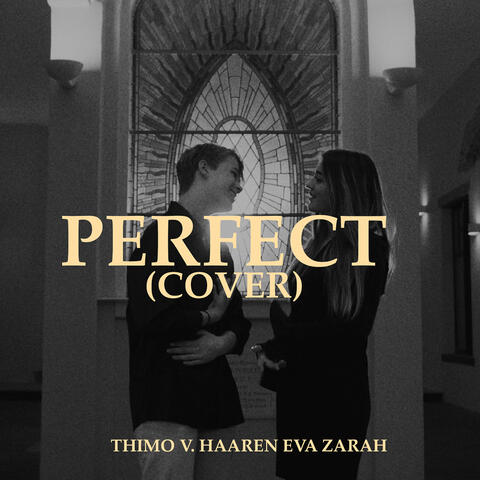Perfect (Cover)