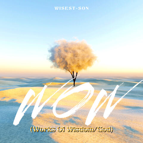 Wow (Works of Wisdom / God)
