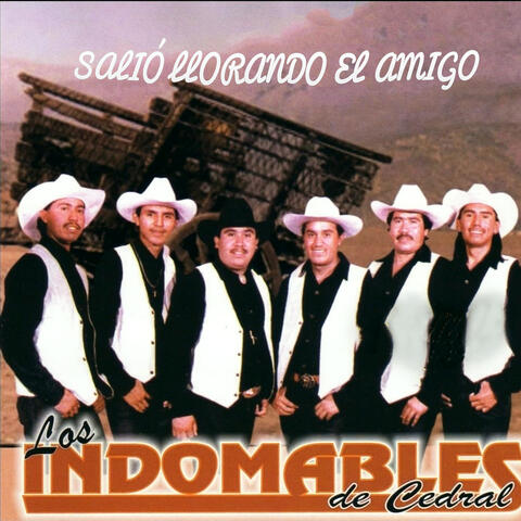 Salio Llorando El Amigo