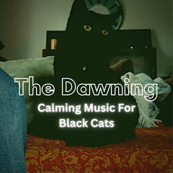 Calming Music for Black Cats
