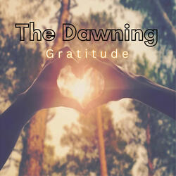 Gratitude